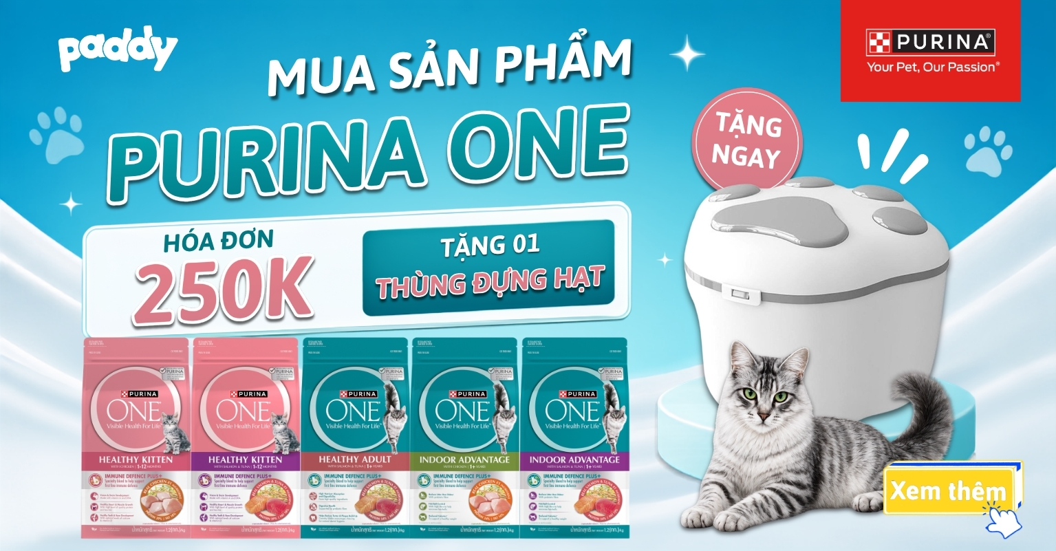 CHỐT DEAL HẠT XỊN – NHẬN THÙNG HẠT XINH!