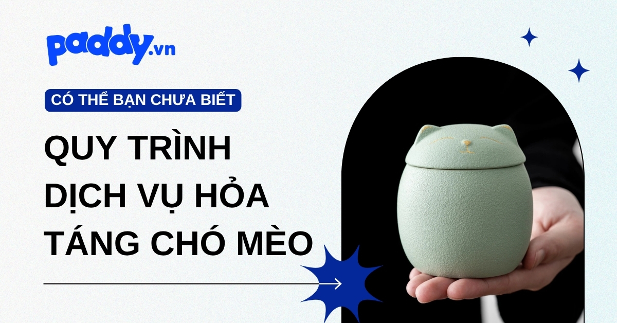 Hỏa táng chó mèo: Quy trình, chi phí, các hình thức và cách chọn dịch vụ uy tín