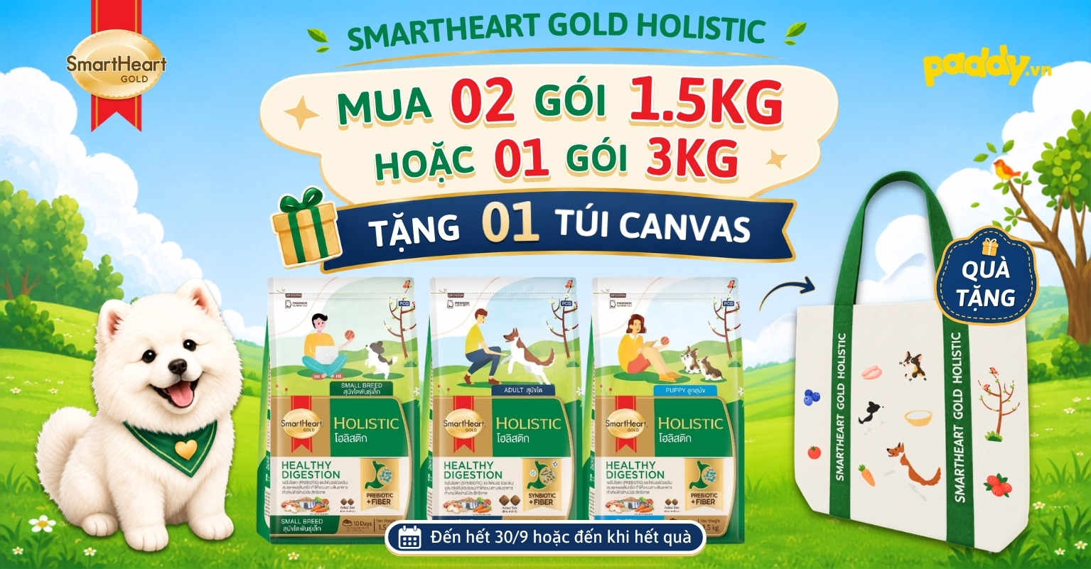 MUA HẠT XỊN – RINH TÚI CANVAS XINH TỪ SMARTHEART GOLD HOLISTIC!