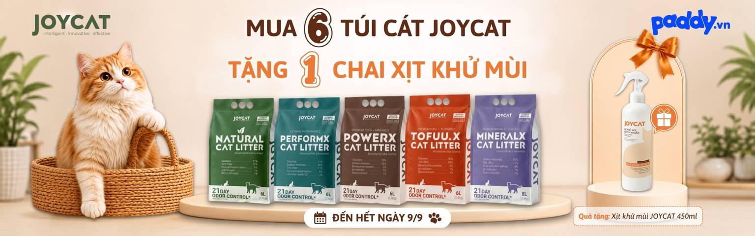 M6T1 Joycat
