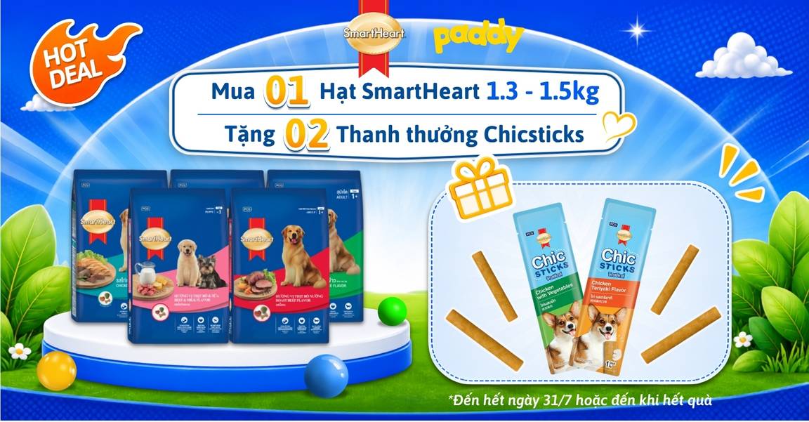 MUA 1 TẶNG 2 CÙNG SMARTHEART – HẠT NGON, SNACK XỊN!