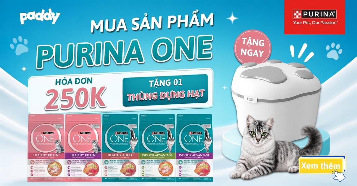 CHỐT DEAL HẠT XỊN – NHẬN THÙNG HẠT XINH!