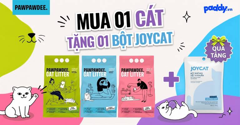 MUA CÁT PAWPAWDEE – TẶNG BỘT KHỬ MÙI JOYCAT