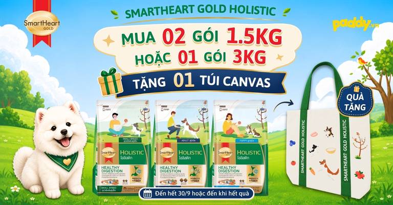 MUA HẠT XỊN – RINH TÚI CANVAS XINH TỪ SMARTHEART GOLD HOLISTIC!