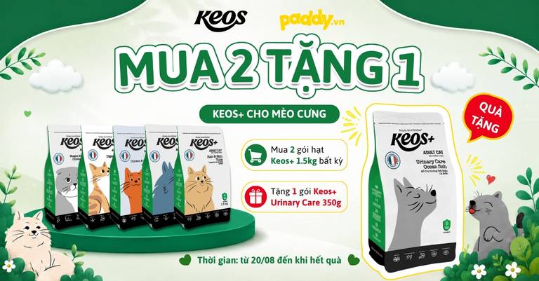 KEOS+ MUA 2 TẶNG 1 – DEAL XỊN CHO MÈO CƯNG!
