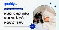 Những lưu ý nuôi chó mèo khi nhà có người bầu và trẻ em