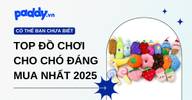 Review top các món đồ chơi cho chó đáng mua nhất 2025