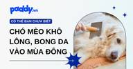 Vì sao mùa đông Boss dễ khô lông, bong da?